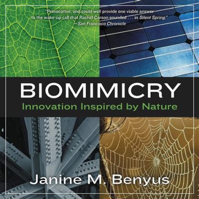  Biomimicry: Une symphonie d'innovation inspirée par la nature